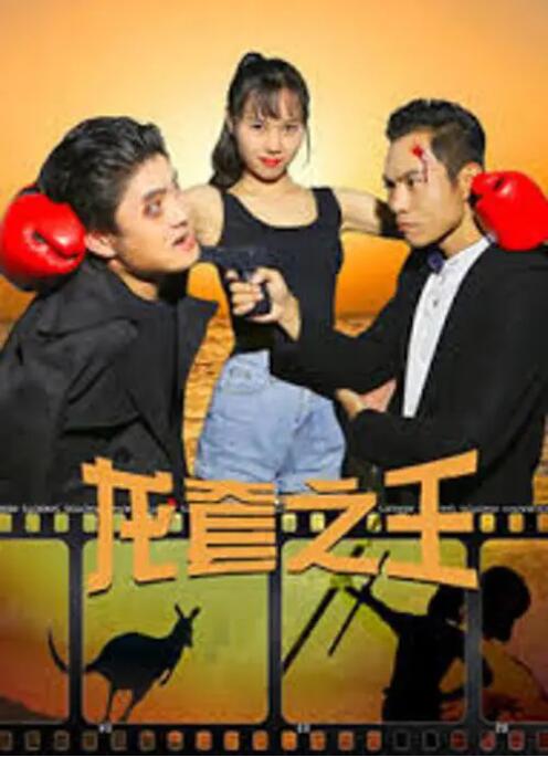 中国高清windows视频播放