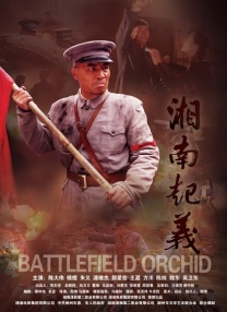 久久99精品久久久久久青青日本